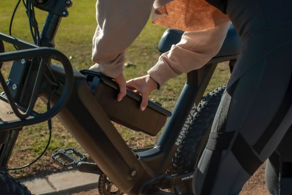 step through frame eBike